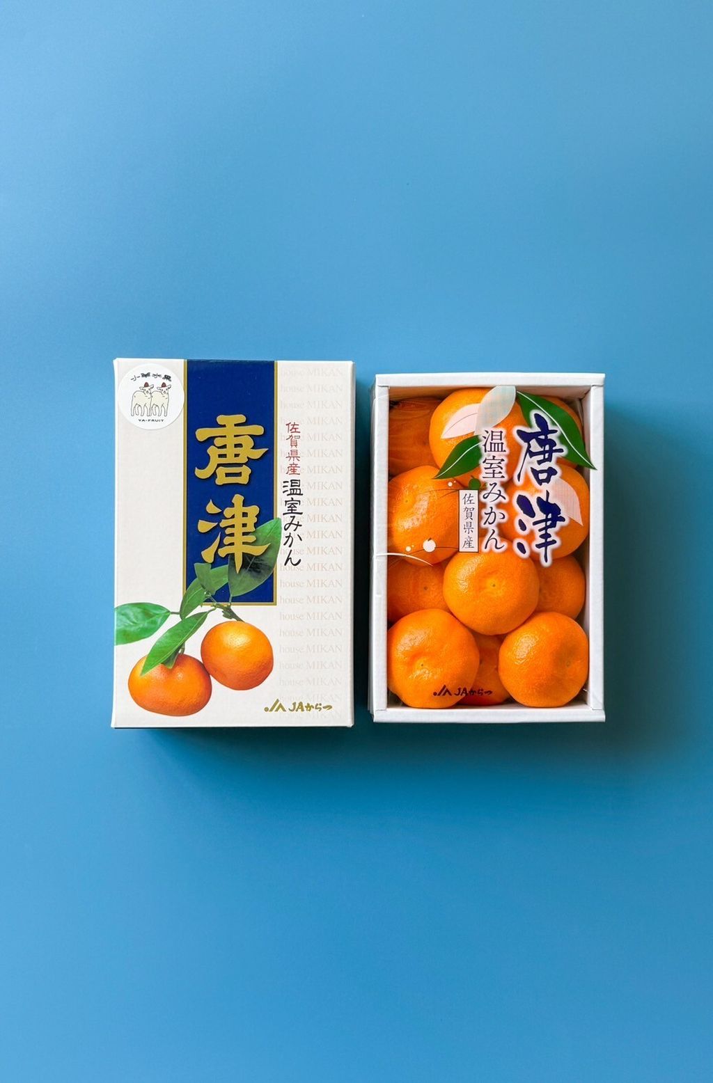 LINE_ALBUM_糖精_250704_4