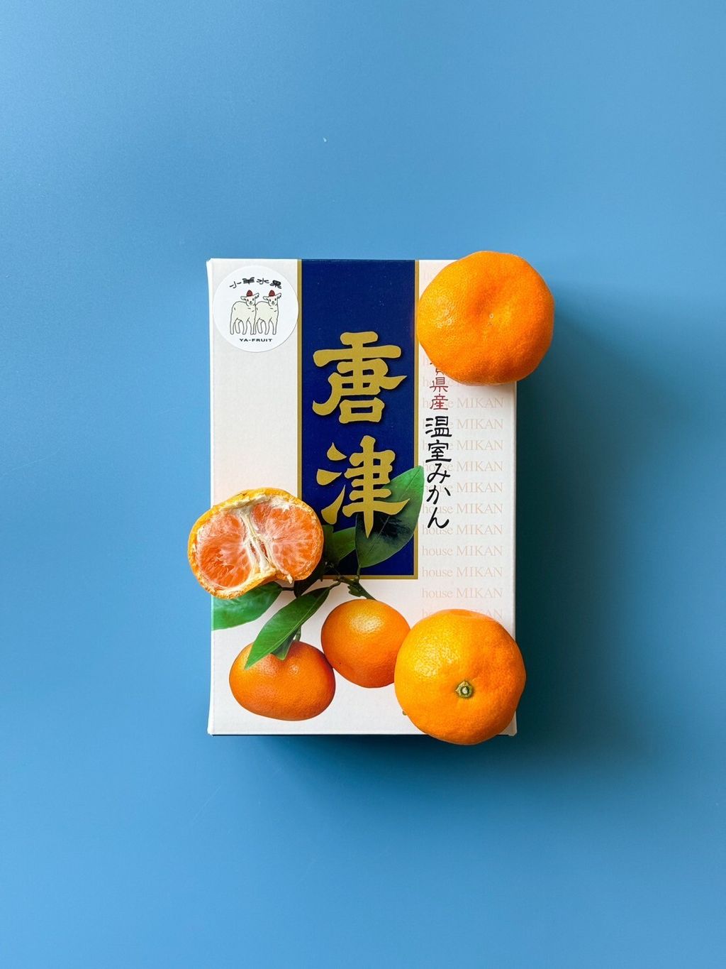 LINE_ALBUM_糖精_250704_2