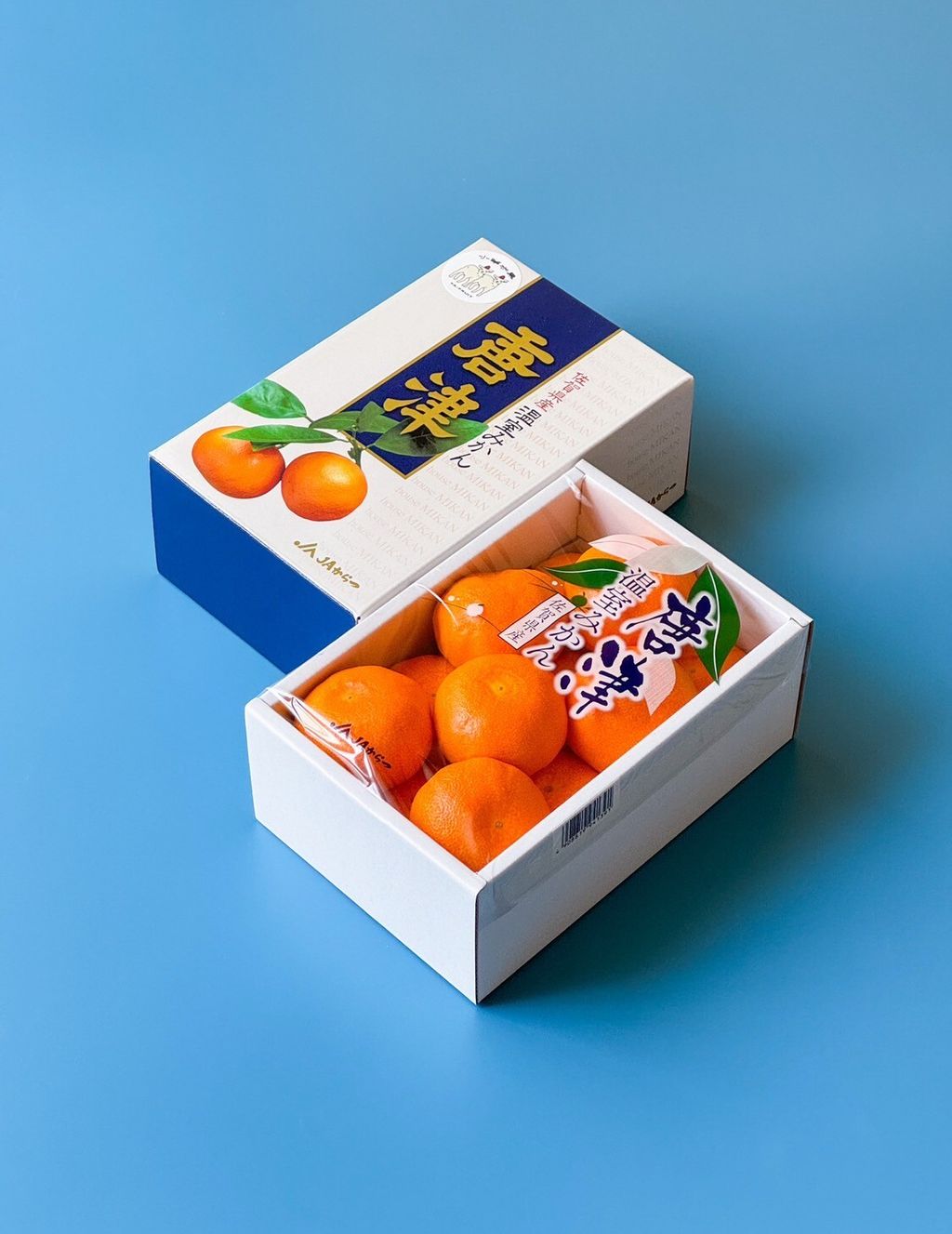 LINE_ALBUM_糖精_250704_3