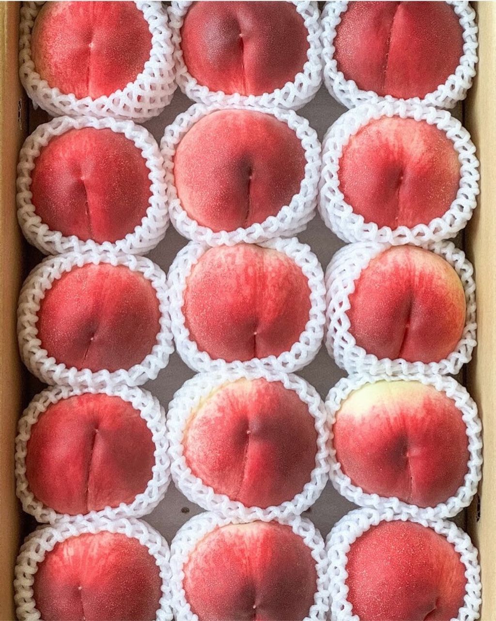 LINE_ALBUM_春日居_250704_4