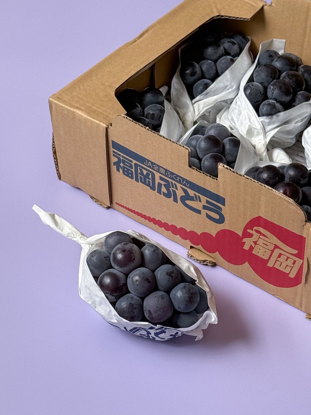 🍇🇯🇵 岡山・貓眼葡萄（Pione） – 小羊水果ya.fruit