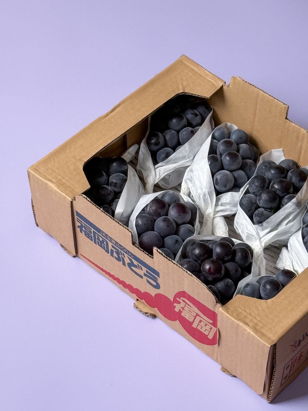 真作　大竹山規 静物画 「葡萄」 竹与鹤