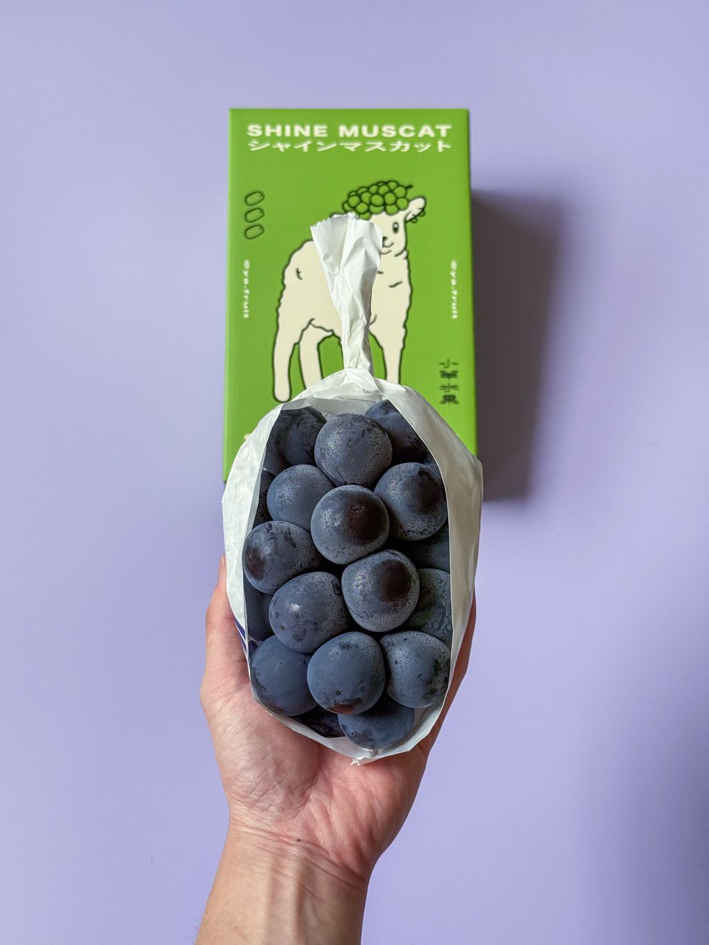 🍇🇯🇵 岡山・貓眼葡萄（Pione） – 小羊水果ya.fruit