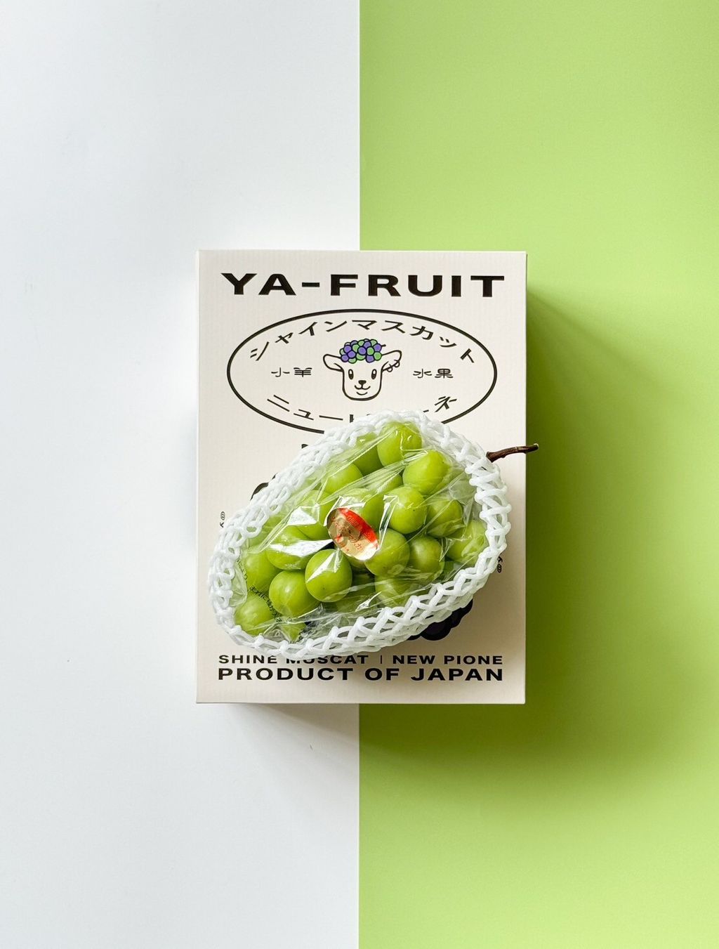 LINE_ALBUM_2025720_250720_10