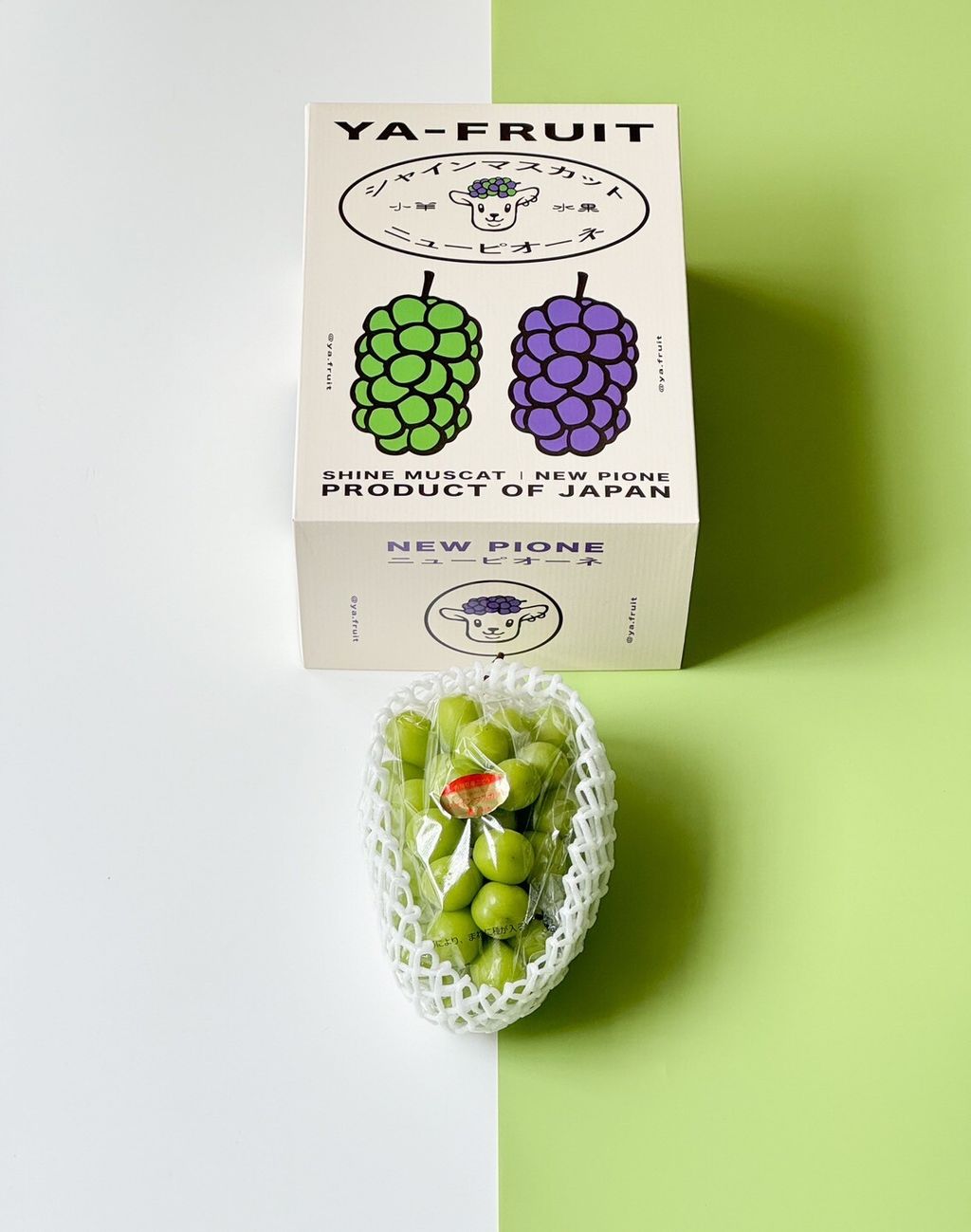 LINE_ALBUM_2025720_250720_11