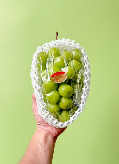 LINE_ALBUM_2025720_250720_13