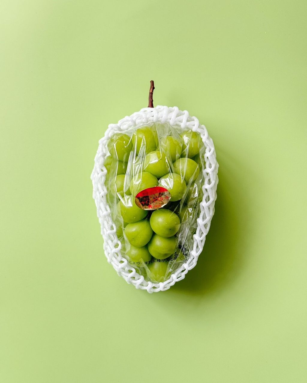 LINE_ALBUM_2025720_250720_16