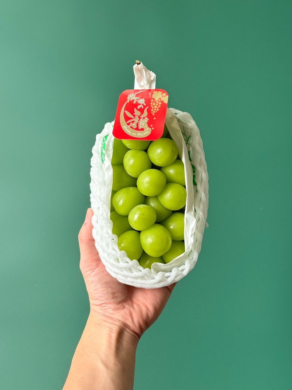 LINE_ALBUM_2025720_250720_4