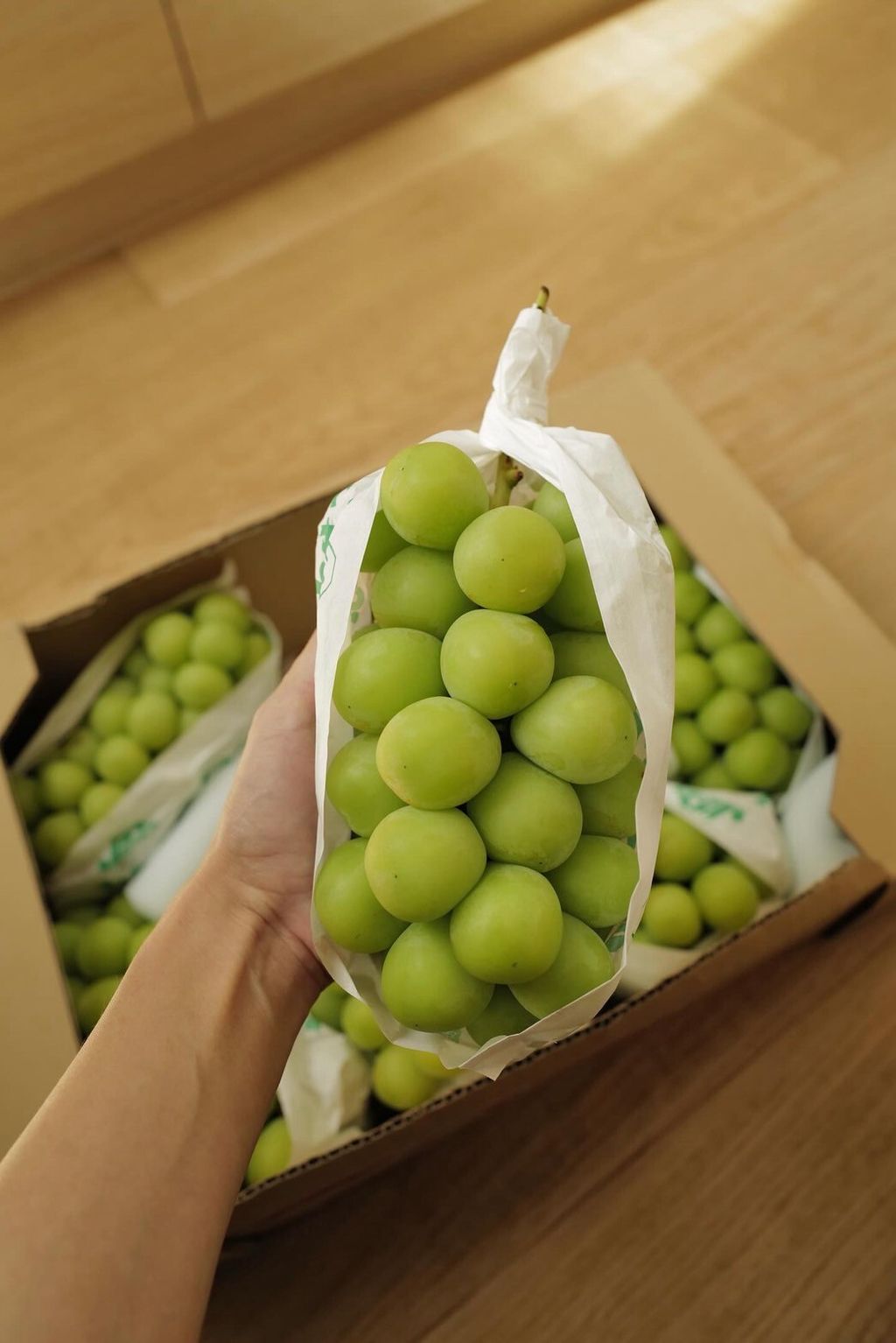 LINE_ALBUM_2025720_250720_18