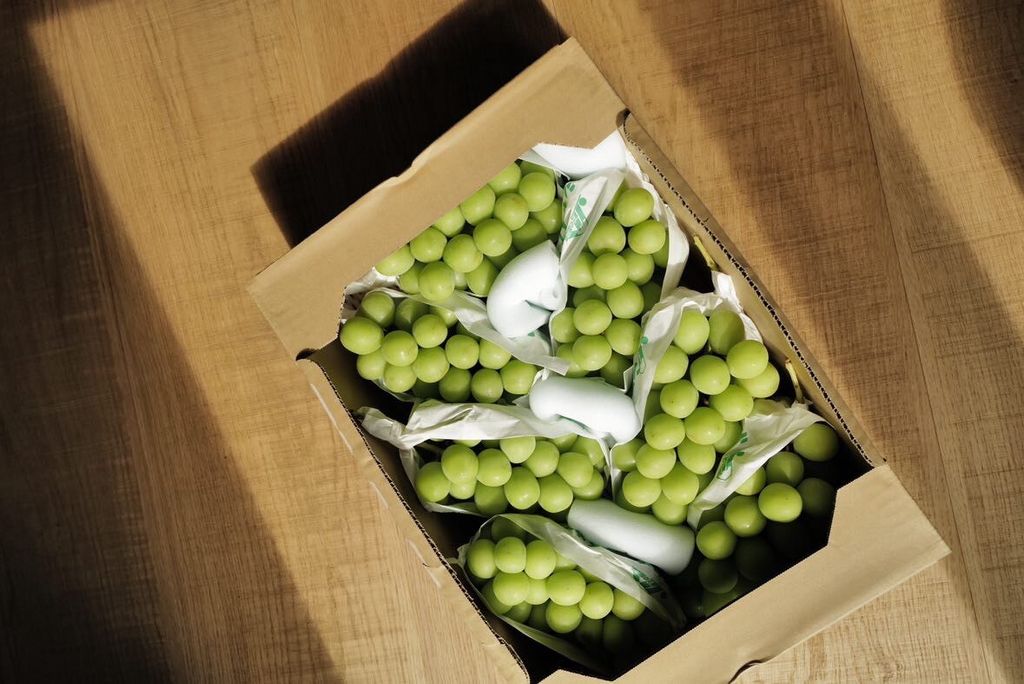 LINE_ALBUM_2025720_250720_17