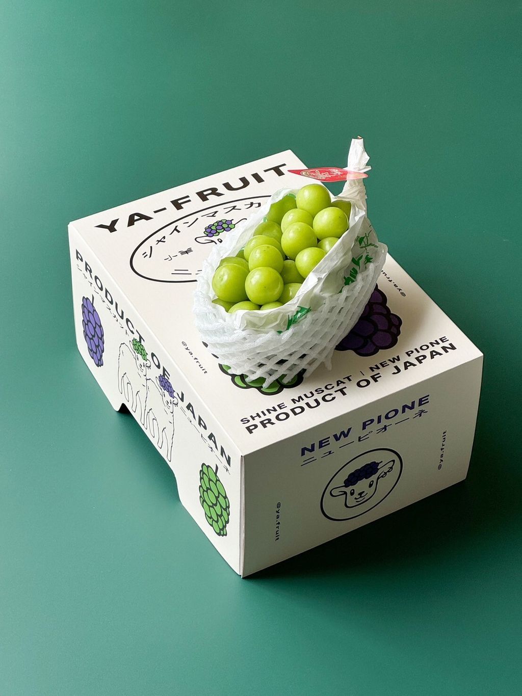 LINE_ALBUM_2025720_250720_3