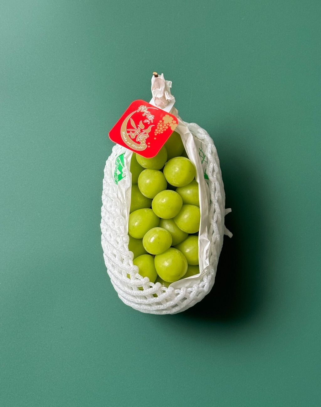 LINE_ALBUM_2025720_250720_8