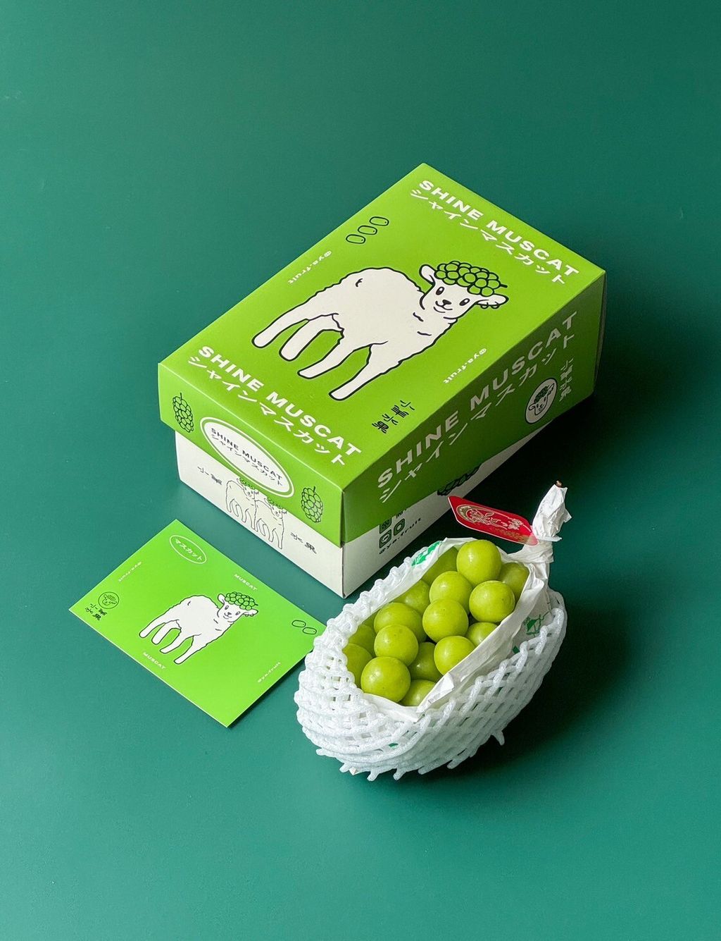 LINE_ALBUM_2025720_250720_6