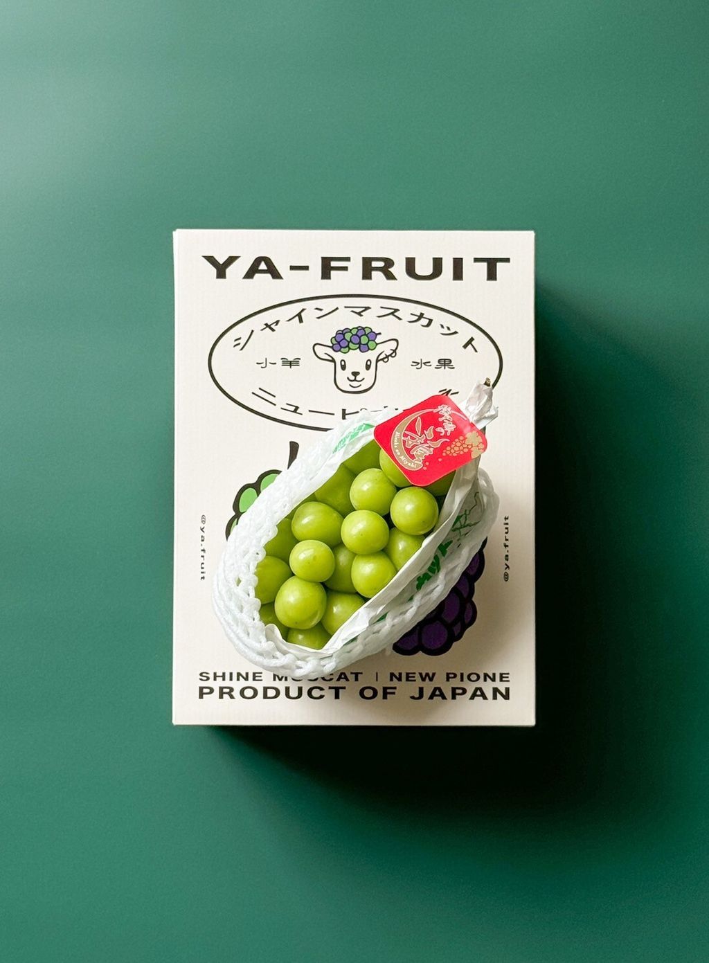 LINE_ALBUM_2025720_250720_1