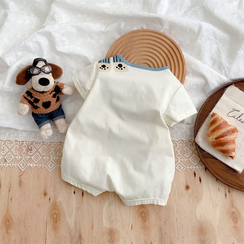 image_F28C0BA3-2DAE-4E9C-BB32-FC8A87E0F90F_1745505105