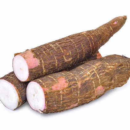 ubi kayu