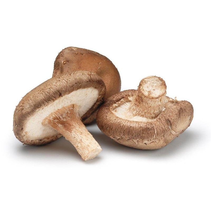fresh shitake