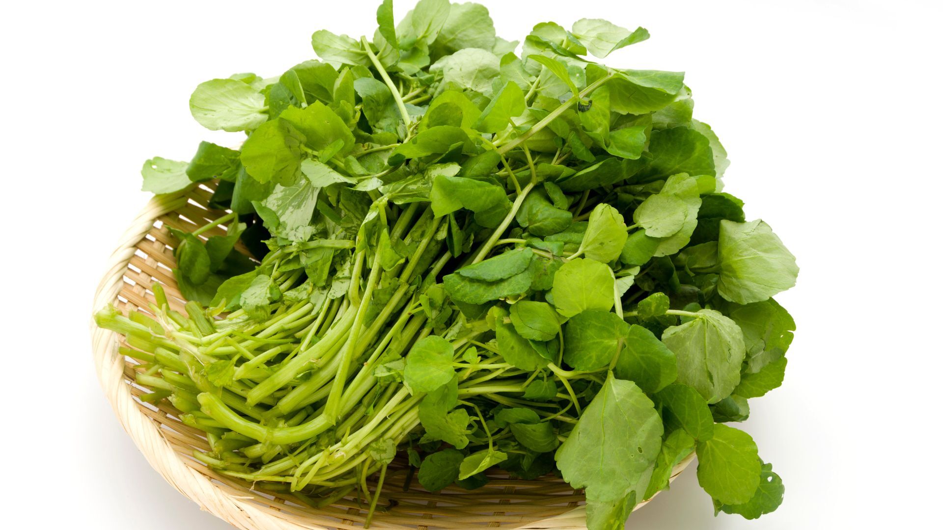 Selada Air - Water cress