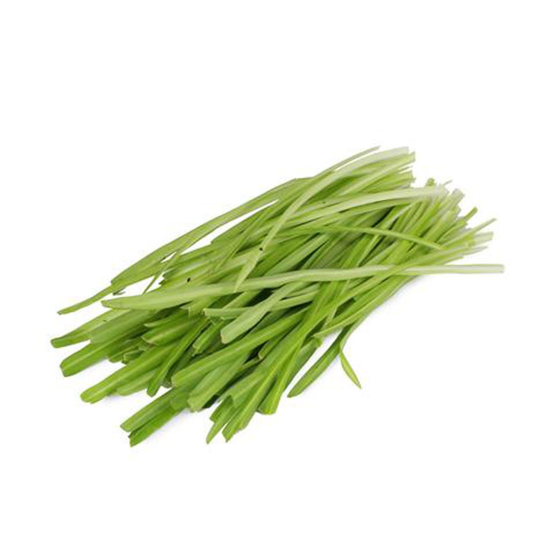 Qing Long Choy