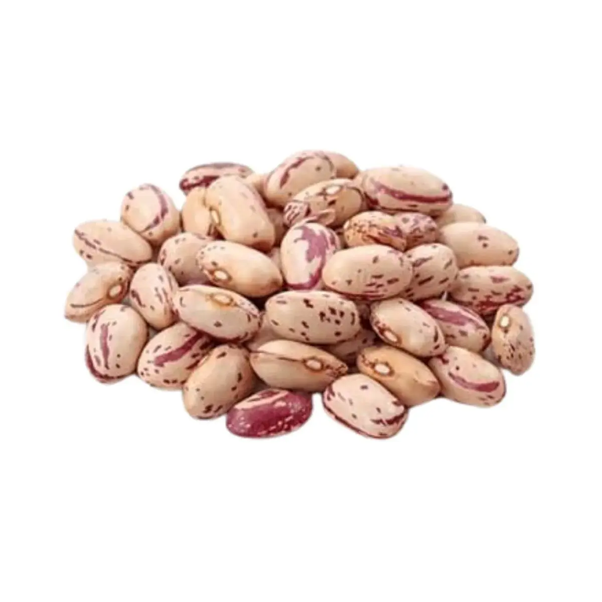 pinto-beans