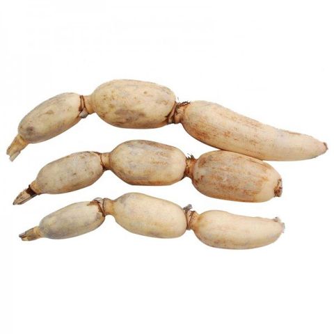 lotus root