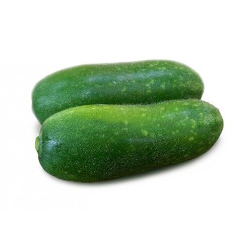 labu bulu - hairy gourd