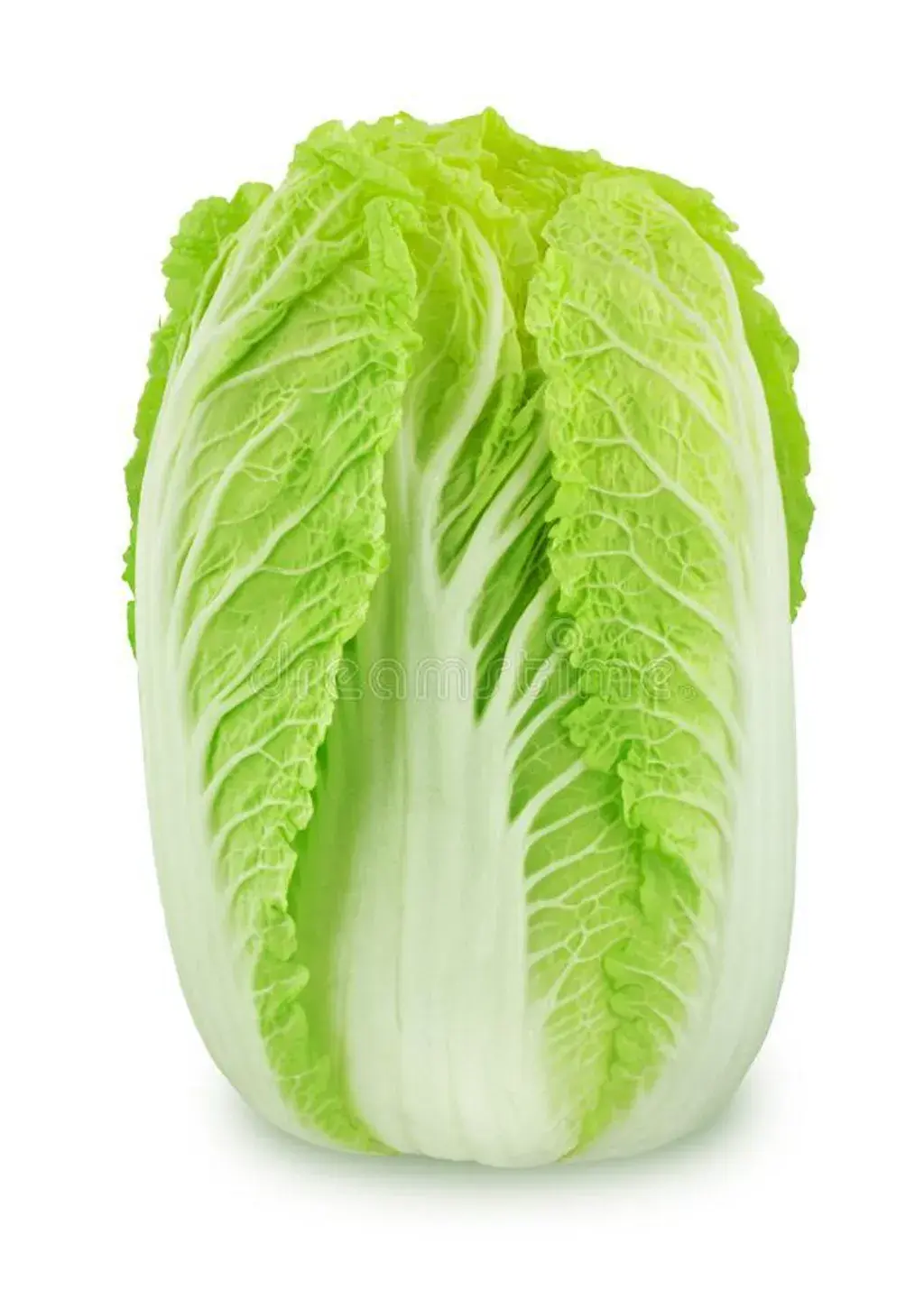 Kubis Panjang