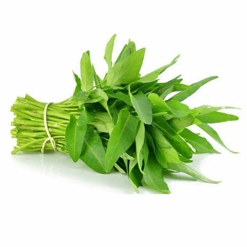 kangkung