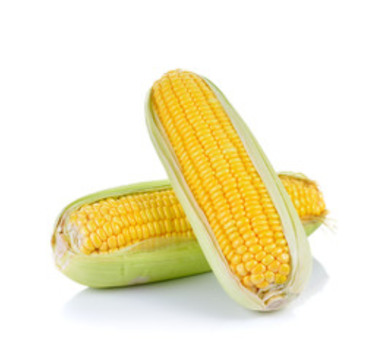 Jagung