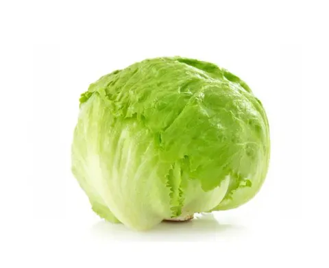 lettuce-iceberg