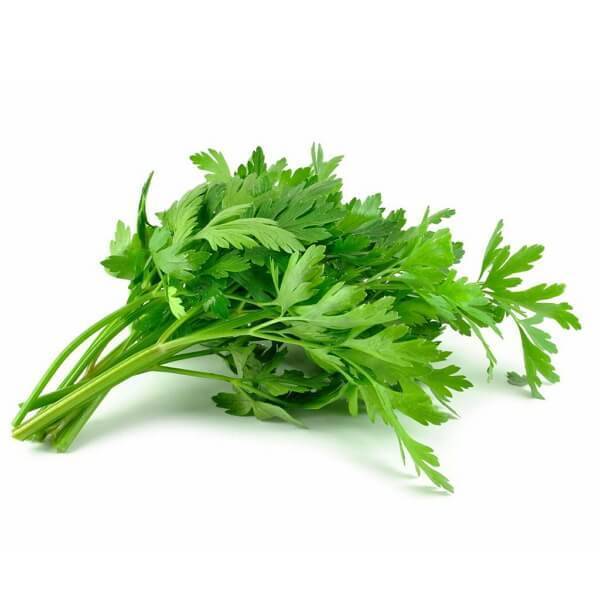 daun sup