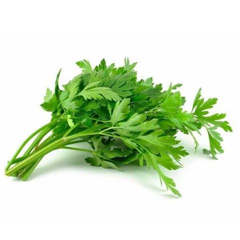 daun sup