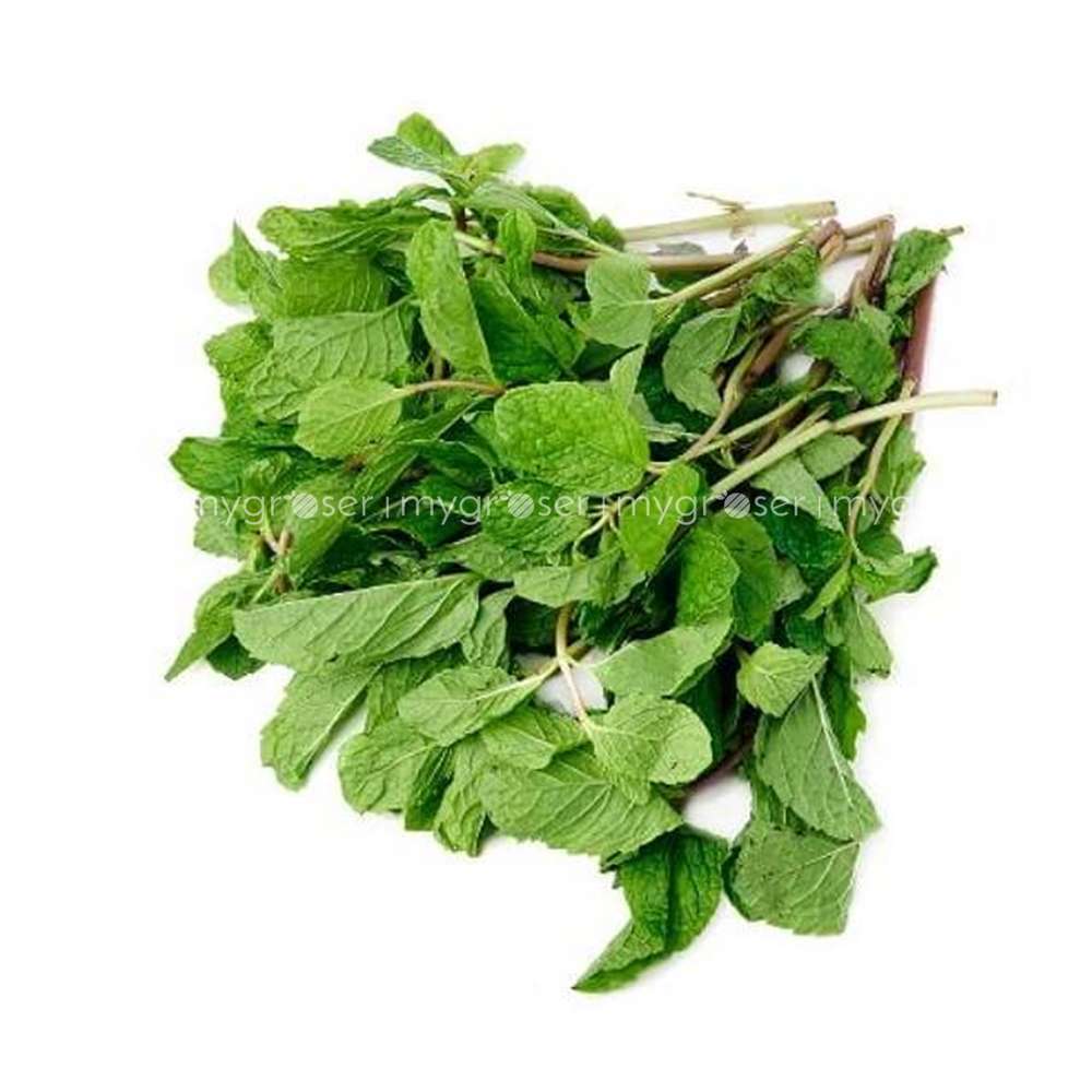 Mint Pudina