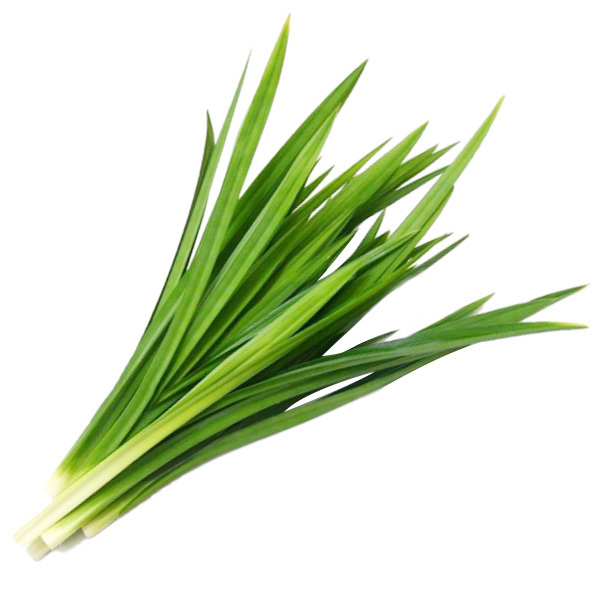daun pandan