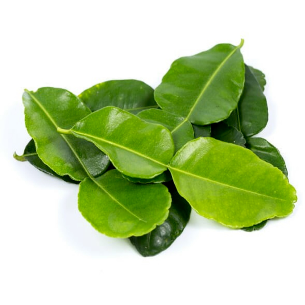 Daun Limau