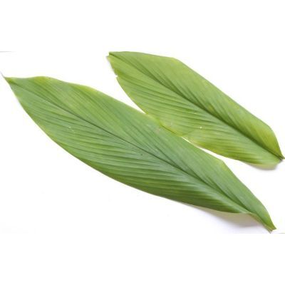 Daun Kunyit