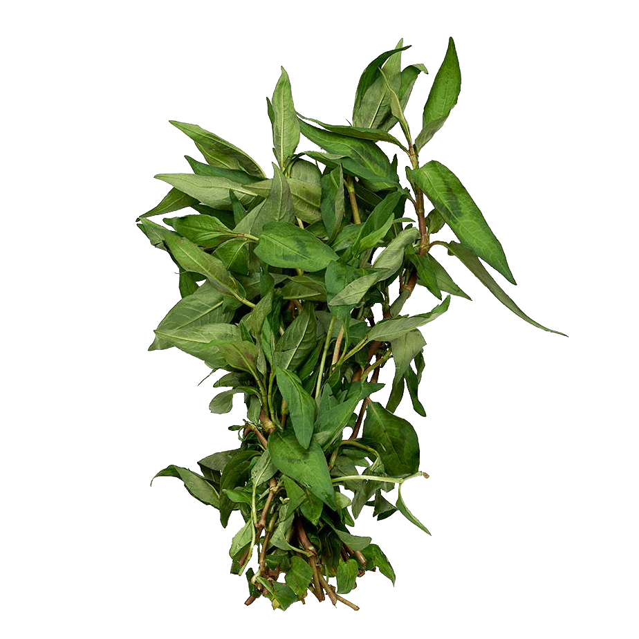 Daun-kesum