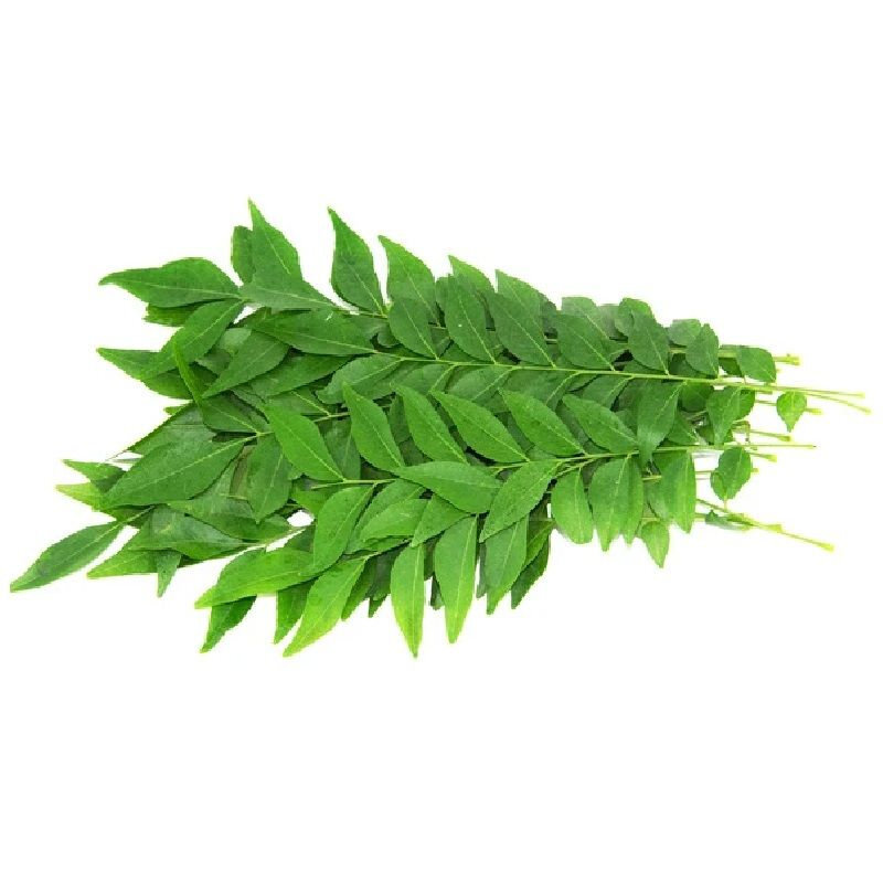 daun kari