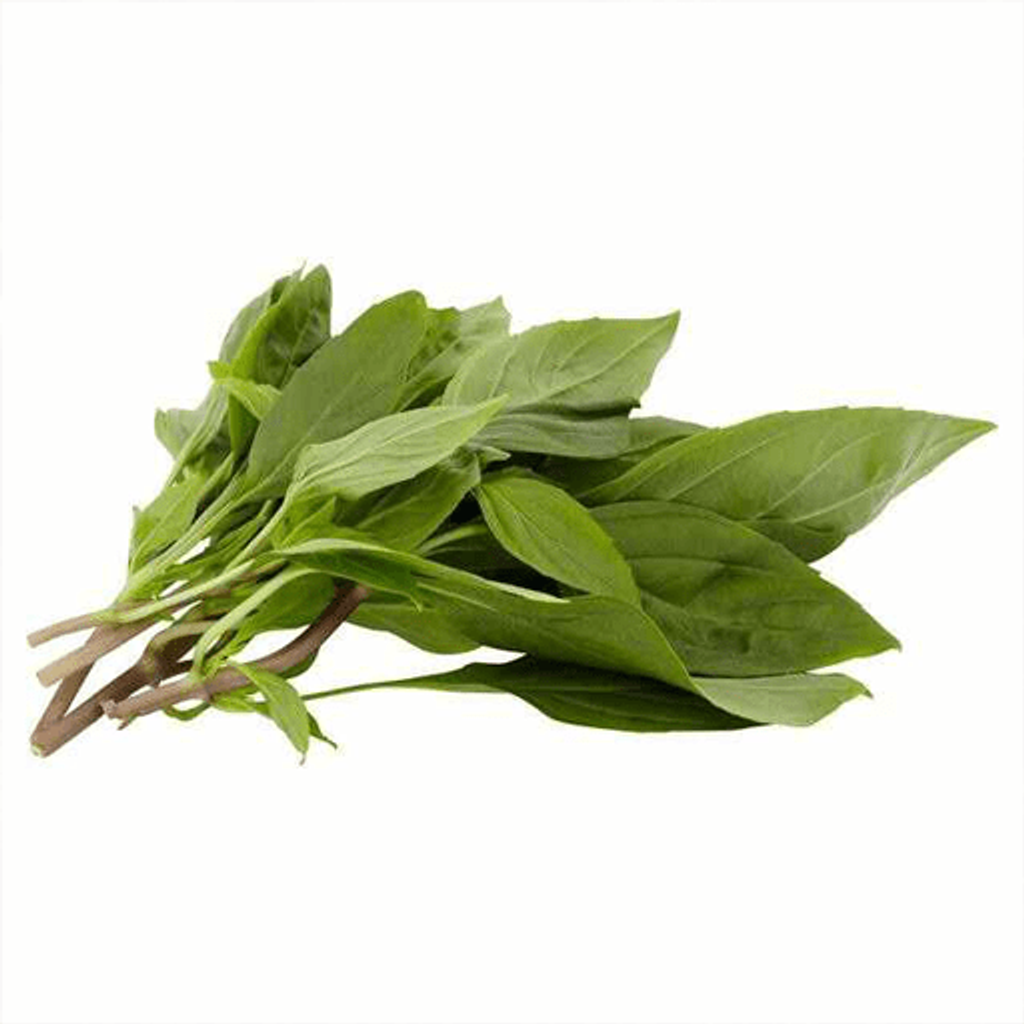 DAUN-SELASIH