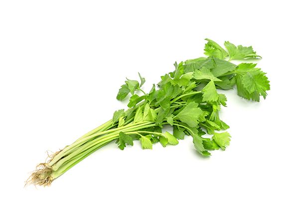 chinese parsley - daun sup