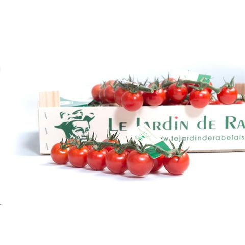 cherry tomato box