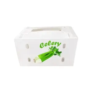 Celery-Box-300x300
