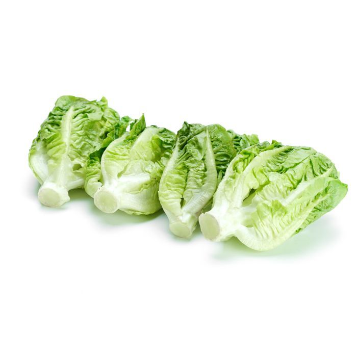 baby romaine