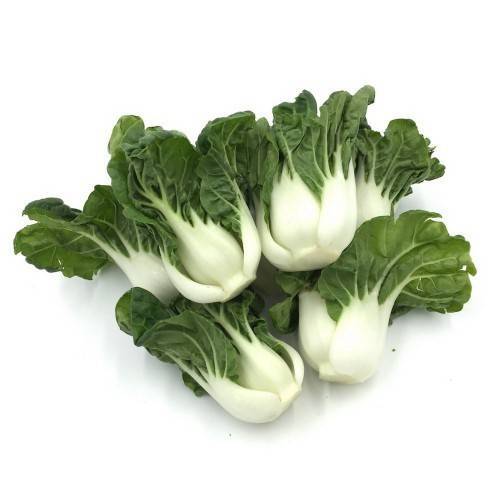 baby nai pak choy