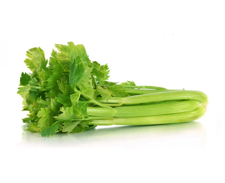 celery