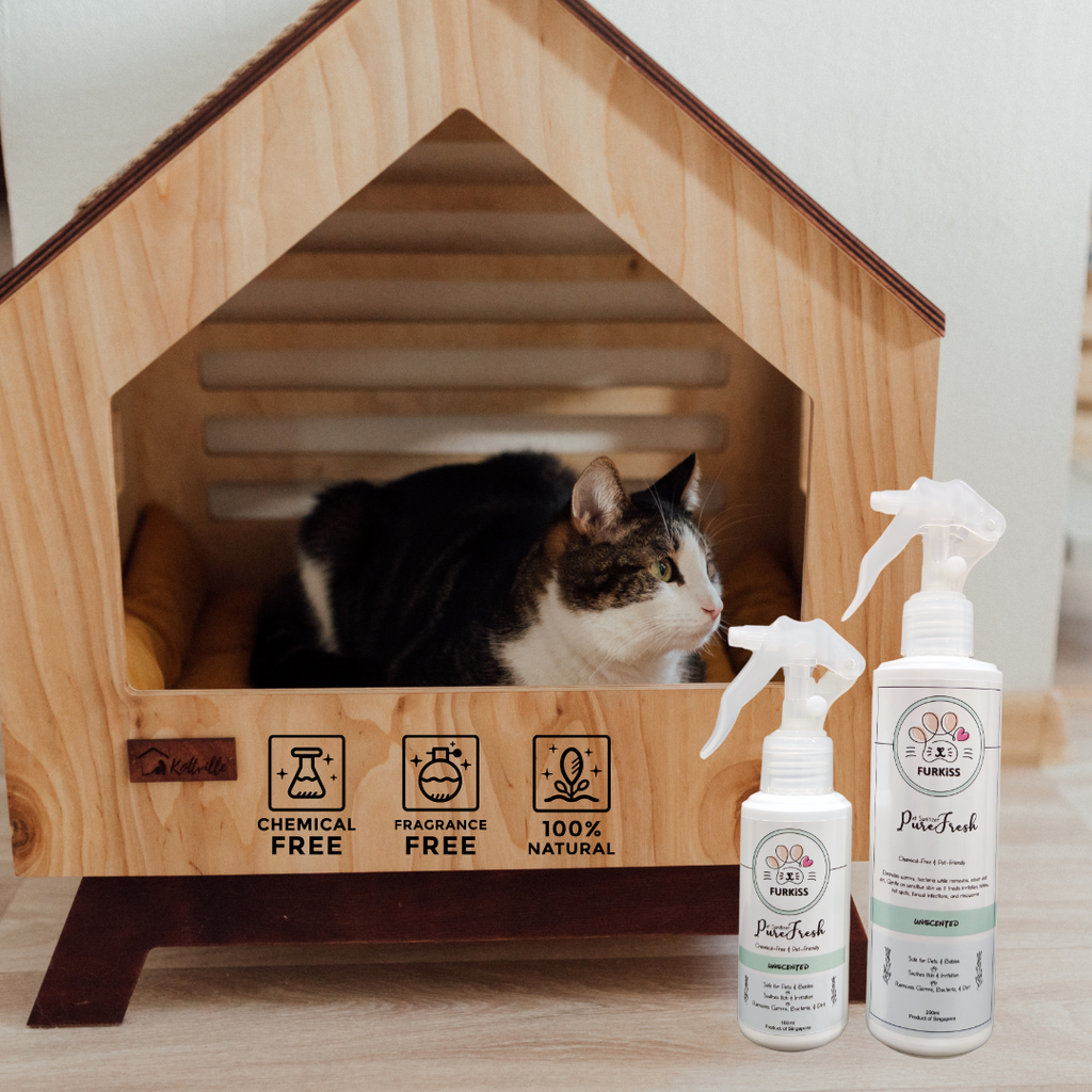Purefresh Cat