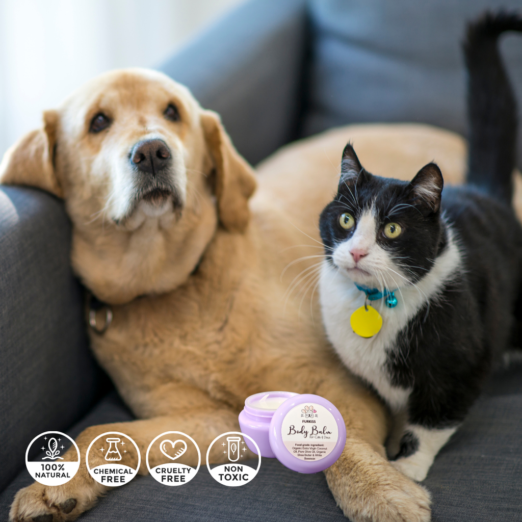 Body Balm Dog and Cat_20250405_232634_0027
