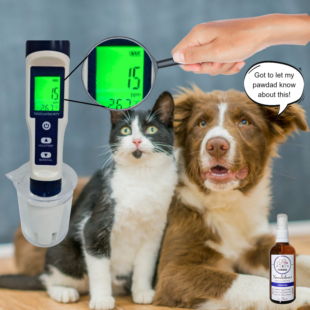 FurKiss product thumbnail_20250516_213656_0000
