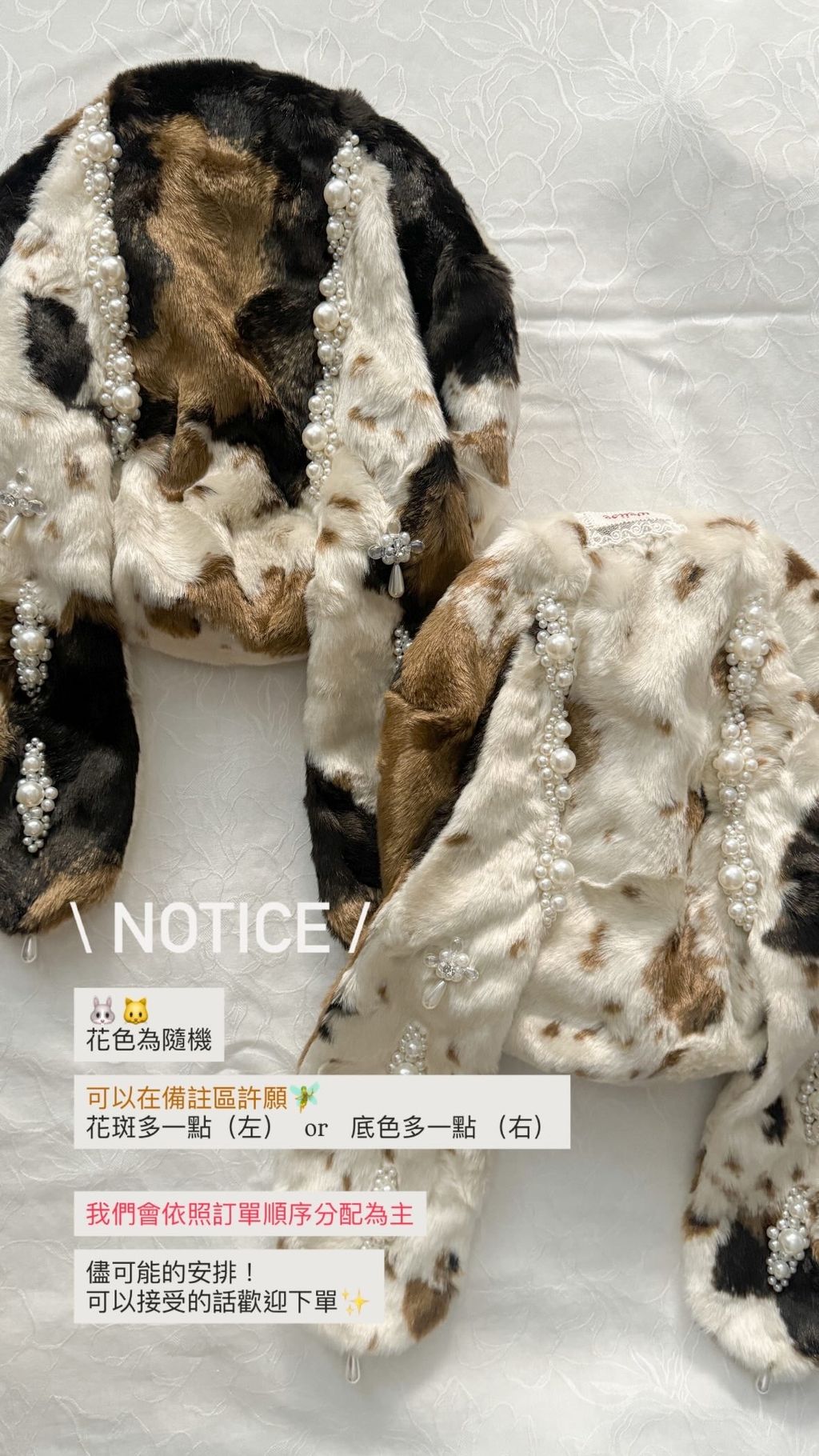 image_B43E3126-1C75-4811-B8D8-4B615D534680_1762612997