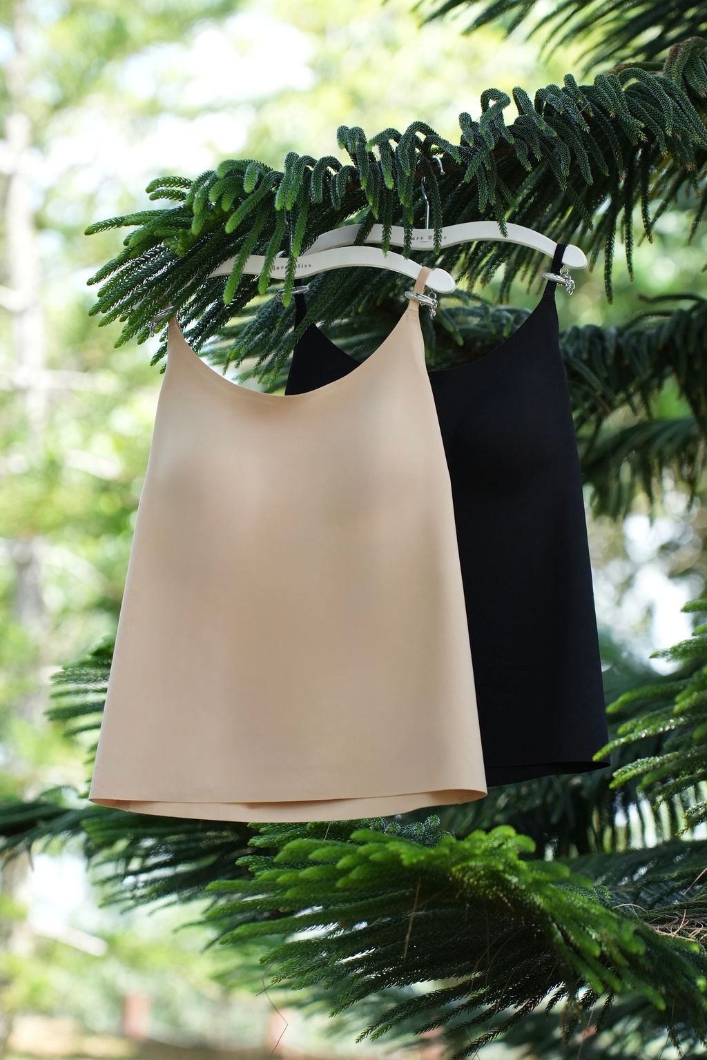 image_6D59B005-F996-488D-804C-9C272B863C35_1756461465